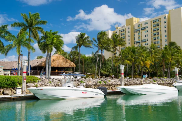 Weergave van luxe boten en jacht aangemeerd in een jachthaven van Miami South Beach. Luxe levensstijl concept — Stockfoto