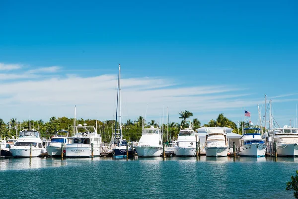 Key west, usa - 08 februari 2016: yachter och segelfartyg förtöjda vid havet piren på solig blå himmel. Segling och segling koncept. Sommarlov på tropisk ö. Vattentransport och fartyg — Stockfoto
