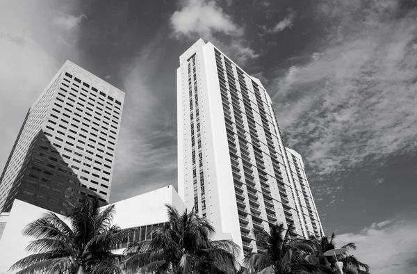 在美国迈阿密棕榈树酒店建筑 — 图库照片