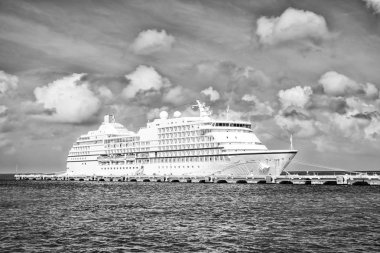 Büyük lüks yolcu gemisi