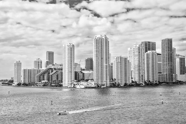 Miami skyline skyscraper — Stock Photo, Image