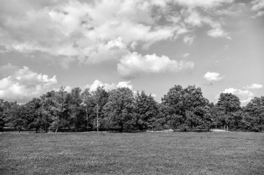 Çiçekli ortak heather ile araziler