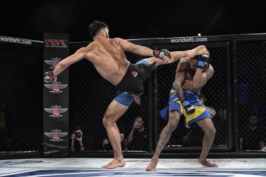 Kiev, Ukrayna-13 Mart 2017: Kiev, Ukrayna Spor Sarayı şampiyonluk yüzüğü dövüşte mma fighters mücadele