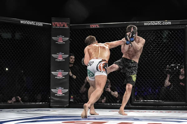 Lutadores mma lutar no ringue — Fotografia de Stock