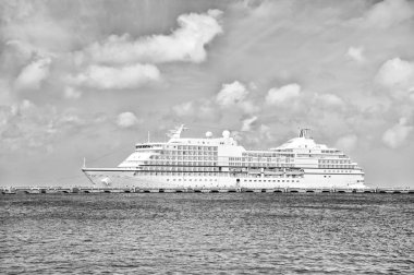 Büyük lüks yolcu gemisi