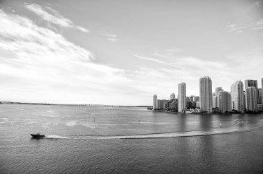 Miami manzarası gökdelen