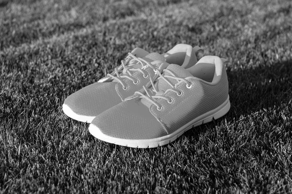 Sports shoes sneakers on fresh green grass. Sports in the open air. orange sport sneakers modern style. fitness and health