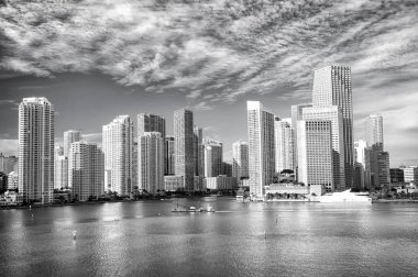 Miami manzarası gökdelen