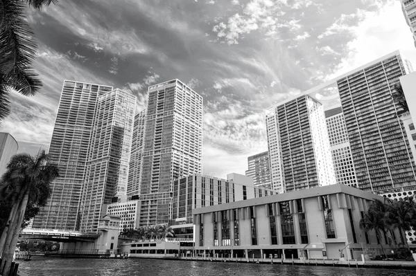 Mrakodrapy v centru Miami, Usa — Stock fotografie
