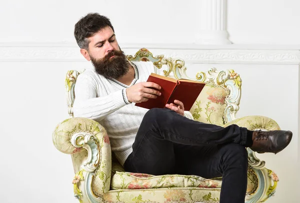 ひげと口ひげ座って肘掛け椅子と本を読んで、白い壁バック グラウンドを持つ男。知識の概念。スマート マッチョは、本と余暇を費やしています。科学者は、深刻な顔の教授を探る文学 — ストック写真