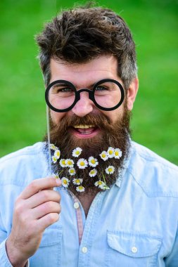 Bahar kavramı. Adam güzel sakal papatya veya papatya çiçekleri ile görünüyor. Uzun sakal ve bıyık, ufuk yeşil renkli olan adam. Gözlük ile poz hipster neşeli yüzündeki sakallı.