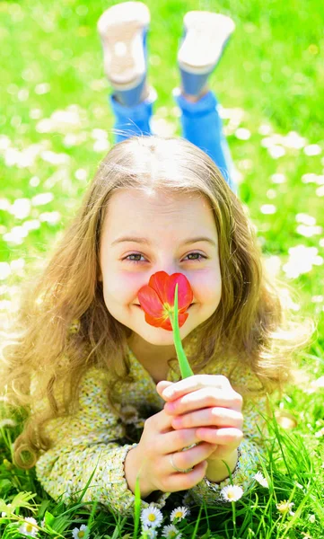 Dívka ležící na trávě, pastviny na pozadí. Dítě si užívat jarní slunečný den, zatímco leží na louce s květinami. Dívka na usmívající se tváři drží červený tulipán květiny, vychutnat vůni. Koncept vůně tulipánů — Stock fotografie