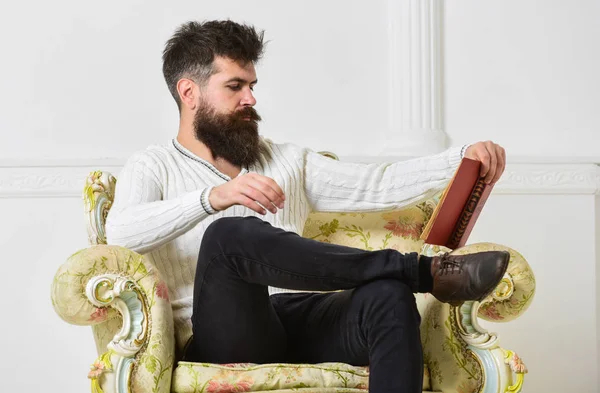 Intelligent concept. Lecturer smart sit on armchair and reads book, white wall background. Man with beard and mustache spends leisure with book. Scientist, professor on pensive face enjoys literature — Stock Photo, Image