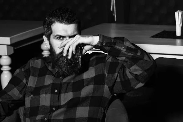 Skäggig man hipster håller glas whisky i röd stol — Stockfoto