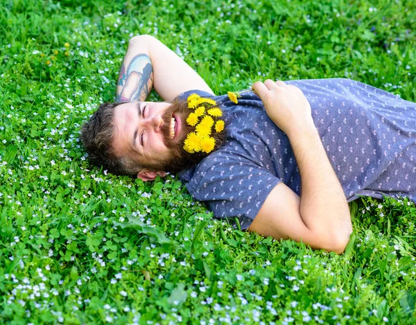 Homem barbudo com flores de dente de leão estava no prado, fundo de grama. Homem com barba no rosto sorridente desfrutar da natureza. Unir-se com o conceito de natureza. Hipster com buquê de dentes-de-leão em barba relaxante — Fotografia de Stock