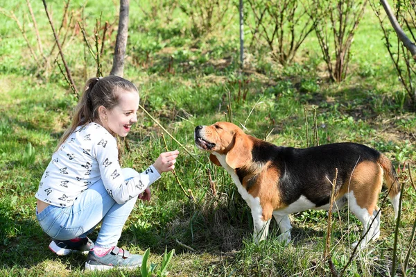 행복 한 어린이는 화창 한 날 애완 동물 친구와 놀아 준다. 여름 방학 때 개를 훈련시키는 소녀. 신선 한 공기의 실외에서 웃는아이. 어린 시절과 우정. 개 의훈 련 개념 — 스톡 사진