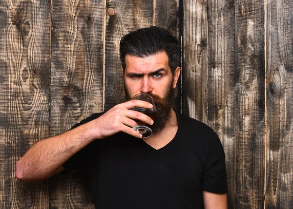 El hombre con barba y bigote tiene bebida alcohólica —  Fotos de Stock