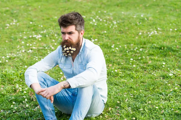 Homem com rosto calmo relaxante no campo gramado com flores silvestres. Bonito tipo com flores de margarida ou camomila na barba, sentado no prado verde. Conceito de frescura de primavera — Fotografia de Stock