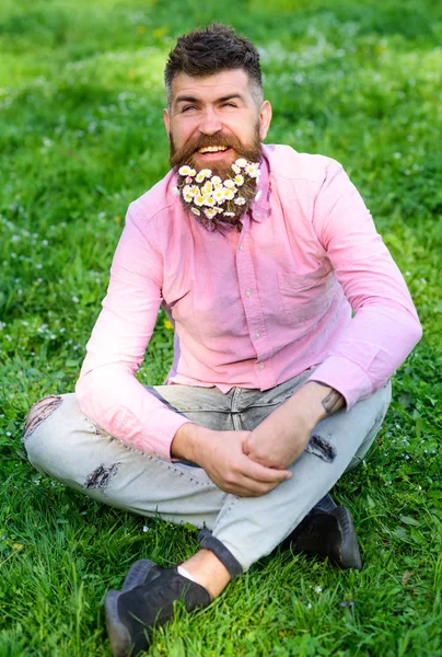 Concepto de alergia de primavera. Hombre barbudo con flores de margarita se sienta en la parcela de hierba, fondo de hierba. Hombre con barba en la cara sonriente disfrutar de la vida sin alergia. Hipster con margaritas se ve feliz — Foto de Stock
