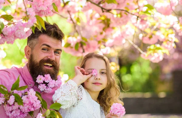 Baba ve kızı mutlu yüzler üzerinde çiçekler, sakura arka plan ile oynamak. Baba sakura çiçekler bahar gününde yanında olan kız. Çocuk ve adam sakal ihale pembe çiçekli. Aile zaman kavramı — Stok fotoğraf