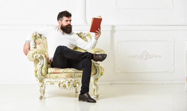 Knowledge concept. Man with beard and mustache sits on armchair and reading book, white wall background. Macho smart spends leisure with book. Scientist, professor on serious face explores literature — Stock Photo, Image