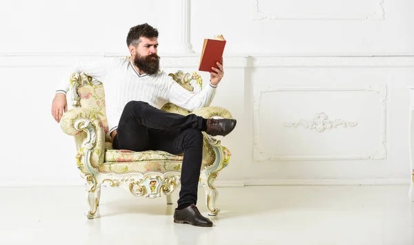 Concetto di conoscenza. Uomo con barba e baffi siede su poltrona e libro di lettura, sfondo bianco della parete. Macho smart passa il tempo libero con il libro. Scienziato, professore sul volto serio esplora la letteratura — Foto Stock