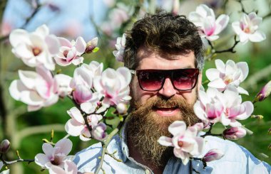Gözlüklü adam sakal ve bıyık giyer, Manolya çiçek arka plan. Vahşet ve hassasiyet kavramı. Manolya çiçek güneşli yakınındaki acımasız maço gülümsüyor. Hippi moda güneş gözlüğü ile