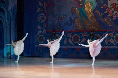 Kiev, Ukrayna - 7 Nisan 2017: bale Corsar ya da Le Corsaire sırasında Ukrayna Ulusal opera adlı dans bale dansçısı genç balerin