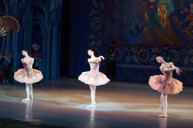 Kiev, Ukrayna - 7 Nisan 2017: bale Corsar ya da Le Corsaire sırasında Ukrayna Ulusal opera adlı dans bale dansçısı genç balerin