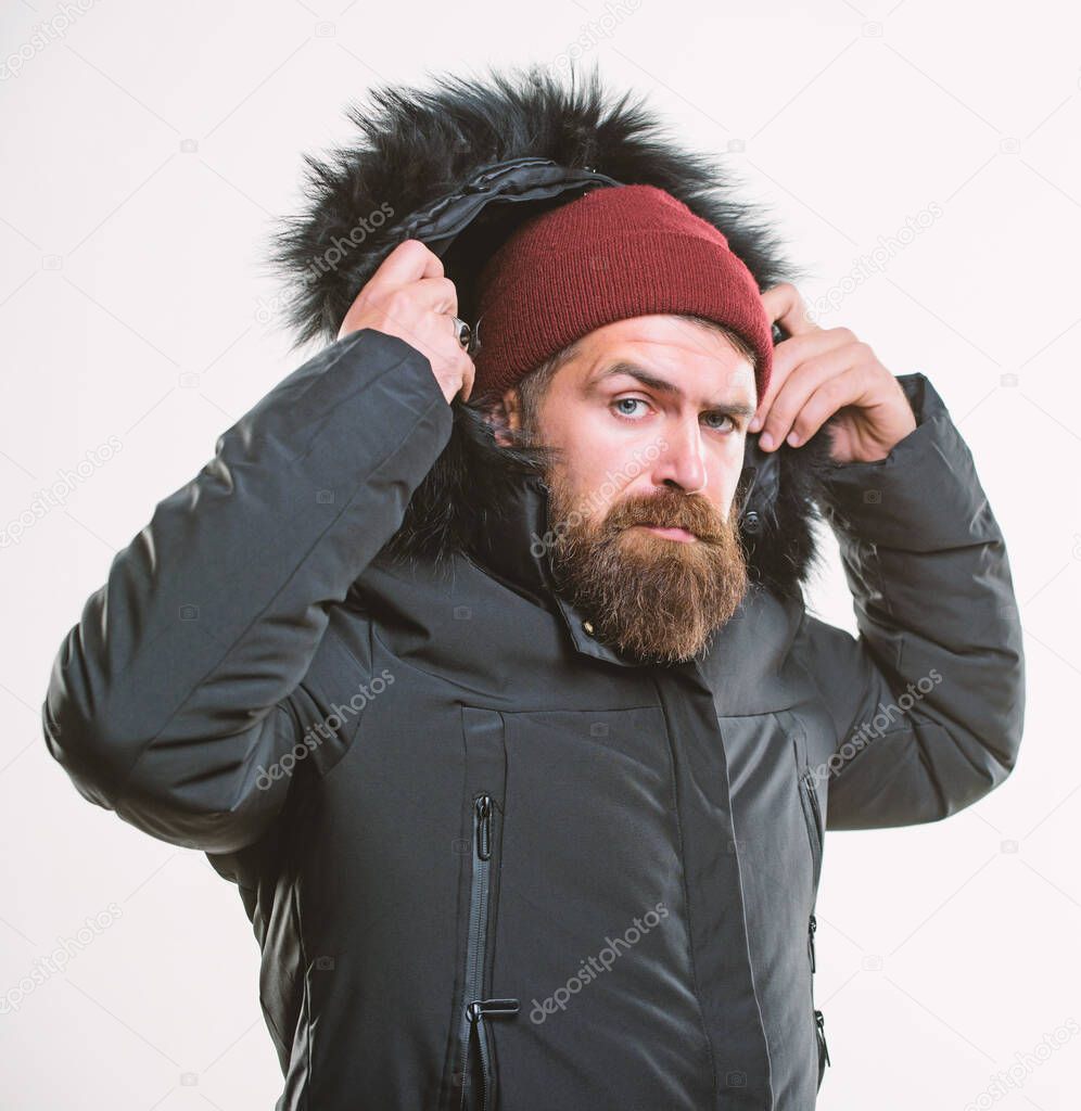 Man bearded stand warm jacket parka isolated on white background. Hood adds warmth and weather resistance. How to choose best winter jacket. Winter season menswear. Weather resistant jacket concept