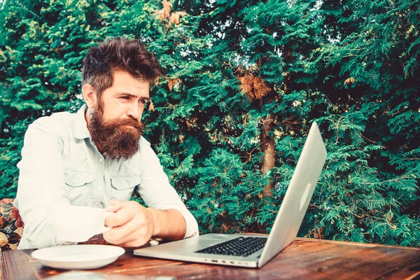 Un trabajo remoto. Ocupación profesional independiente. Bien hecho. Hipster ocupado con freelance. Wifi y laptop. Bebe café y trabaja más rápido. Hombre barbudo trabajador independiente exitoso. Satisfecho con el resultado —  Fotos de Stock