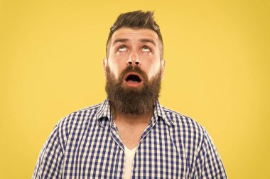 Hipster yaşam tarzı. Kalın sakallı saçları yukarı bakan sürpriz hipster. Acımasız hipster adam sarı bckground üzerinde sürpriz ile ağız açık tutmak. Trendy hipster tarzında sakallı adam