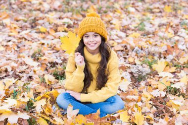 Yeni bir sayfa açıyorum. Sonbahar gününde küçük mutlu bir kız. Sonbahar yapraklarının üzerinde oturan küçük çocuk gülümsemesi. Küçük çocuk sonbahar yaprağını tutuyor. Sonbahar modasında sevimli bir bebek.