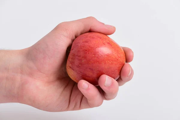 Apfelfrüchte auf hellgrauem Hintergrund. Apfel in saftiger Farbe — Stockfoto