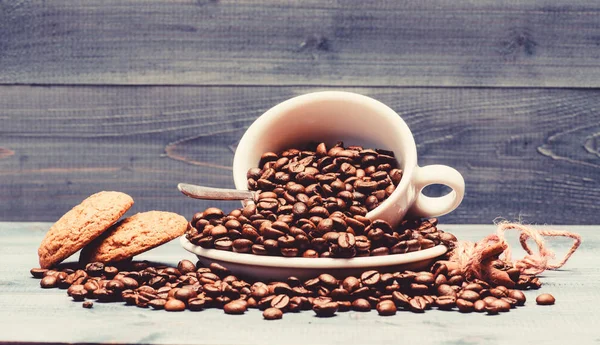신선한 볶은 커피 콩. 영감과 에너지 충전을 위한 음료. 컵 풀 커피 브라운 볶은 콩 블루 나무 배경입니다. 카페인 개념. 카페 음료 메뉴. 귀리 쿠키를 곁들인 커피 브레이크 — 스톡 사진