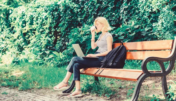 Woman student work with notebook. Learn study explore. Surfing internet. Modern student life. Regular student. Girl adorable student with laptop and coffee cup sit bench in park. Study outdoors — Stock Photo, Image