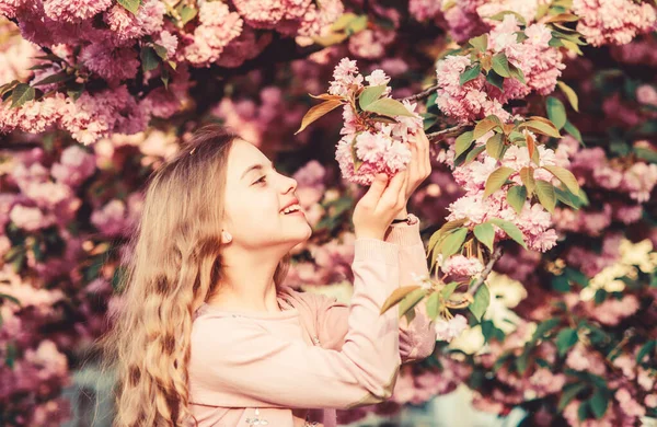 Regarde là-bas. l'été. La beauté de l'enfance. odeur de fleur, allergie. heureuse fille en fleur de cerisier. Sakura arbre en fleurs. spa de soins de la peau. Cosmétiques naturels pour la peau. petite fille enfant au printemps fleur fleur — Photo