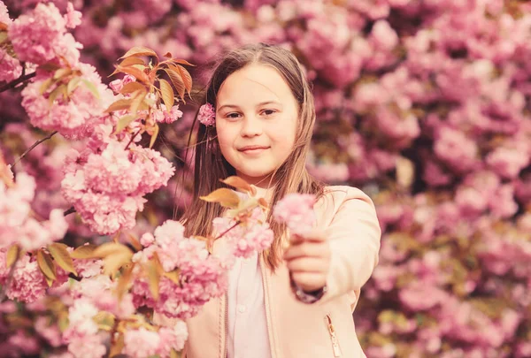 Kid cieszyć Cherry Blossom Sakura. Dziecko na różowe kwiaty Sakura drzewo tło. Lekarstwo na alergie. Dziecko cieszyć się życiem bez alergii. Wąchania kwiatów. Dziewczyna ciesząc się kwiatowym aromatem. Koncepcja alergii na pyłki — Zdjęcie stockowe