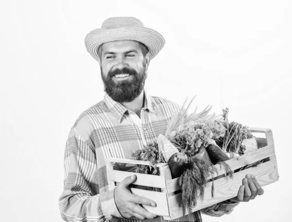 Ocupación profesional de estilo de vida campesino. Compre alimentos locales. Granjero rústico barbudo hombre sostiene caja de madera con verduras de cosecha propia fondo blanco. El granjero lleva la cosecha. Alimentos cultivados localmente —  Fotos de Stock