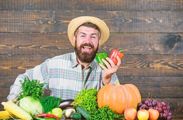 Raccolta di verdure. uomo chef con ricco raccolto autunnale. cibo vitaminico stagionale. Frutta e verdura utili. contadino maturo barbuto. alimenti biologici e naturali. Buon Halloween. festa del raccolto — Foto Stock