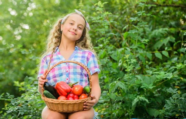 Açlık hissediyor. Çocuk yaz çiftliğinde. Organik yiyecekler. Çocuklar için sağlıklı yiyecekler. Mutlu küçük çiftçi. Sonbahar hasadı. hasat vitamini. Bahar pazarı bahçesi. Sepette küçük bir sebze kız. Çok doğal. — Stok fotoğraf