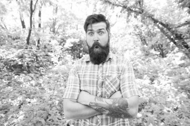 Duygusal doğa aşığı. Adam yaz doğada dinlenmek. Yaz ormanında yakışıklı bir sakal ve bıyık. Yaz tatili konsepti. Çevreile birleşmiş. Adam sakallı hipster yeşil ağaçlar arka plan