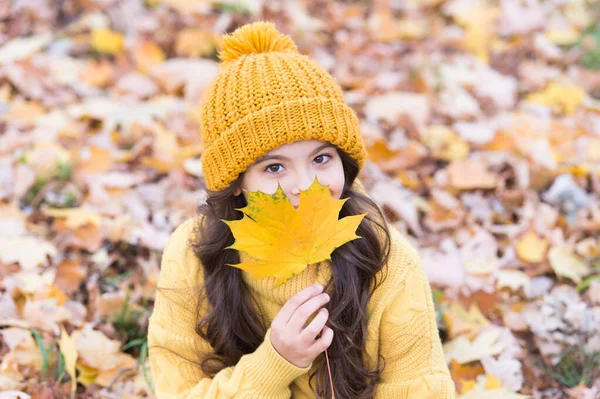 Aparência natural. Feliz criança segure a folha de bordo. Olhar outonal de modelo pequeno. Criança pequena com olhar de beleza. Outono olhar e moda. Adorável e bonito — Fotografia de Stock