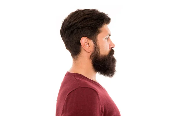 Making his beard perfect. mature bearded man profile. hipster with moustache and beard. hipster after barbershop. male fashion and beauty. beard hair care. brutal man isolated on white background — Stock Photo, Image