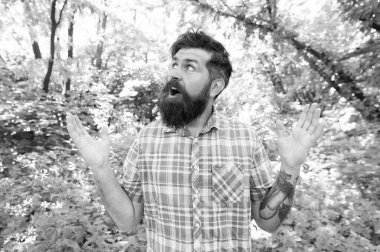 Yaz tatili konsepti. Vahşi doğa aktivitelerini keşfedin. Duygusal doğa aşığı. Yaz ormanında yakışıklı bir sakal ve bıyık. Çevreile birleşmiş. Adam sakallı hipster yeşil ağaçlar arka plan