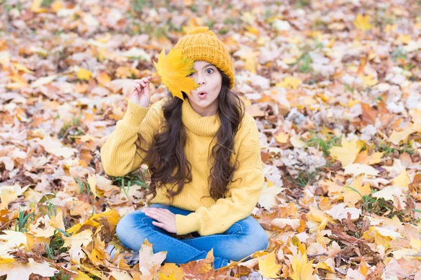 El sombrero se mantiene caliente. Los niños usan un cálido sombrero de punto suave. Humor juguetón. Cálido accesorio de lana. Chica pelo largo cara feliz caída naturaleza fondo. Te mantendré más caliente este otoño. Niño en sombrero amarillo al aire libre —  Fotos de Stock