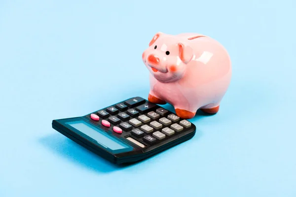 moneybox with calculator. Piggy bank. planning and counting budget. bookkeeping. financial problem. income capital management. money saving. Accounting and payroll. social help