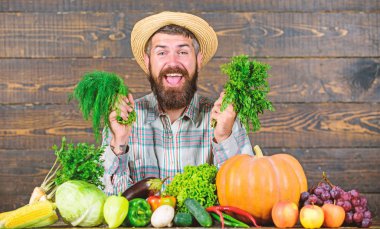 Onun hasat ahşap arka plan gurur sakallı adam. Mükemmel kalitede hasat. Organik gübre hasat yapmak sağlıklı ve zengin. Çiftçi homegrown sebze hasat ile. Organik böcek kontrolü
