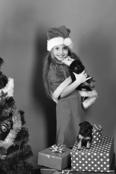 Miss Santa holds little dog near Christmas tree.
