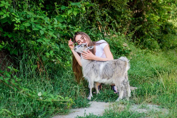 사랑. 농업 과 농업의 개념입니다. 동물은 우리의 친구입니다. 염소 사랑하는 행복 한 소녀. 마을 주말이야. 여름의 날. 동물을 사랑하고 보호 합니다. 동물원에 연락 해. 수의사 양고기. 염소에게 먹이를 주는 여자 — 스톡 사진